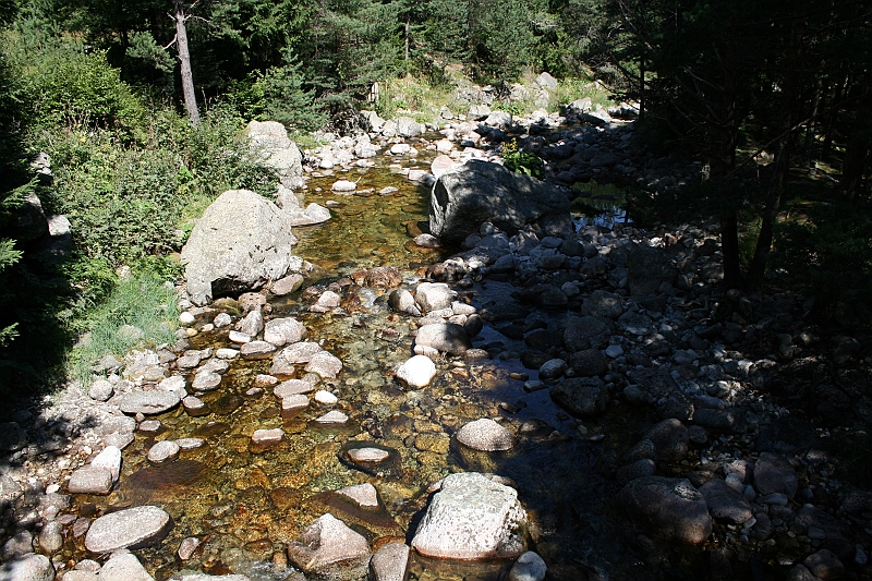 Bulgaria 2008 550
